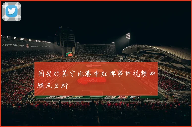 国安对苏宁比赛中红牌事件视频回顾及分析