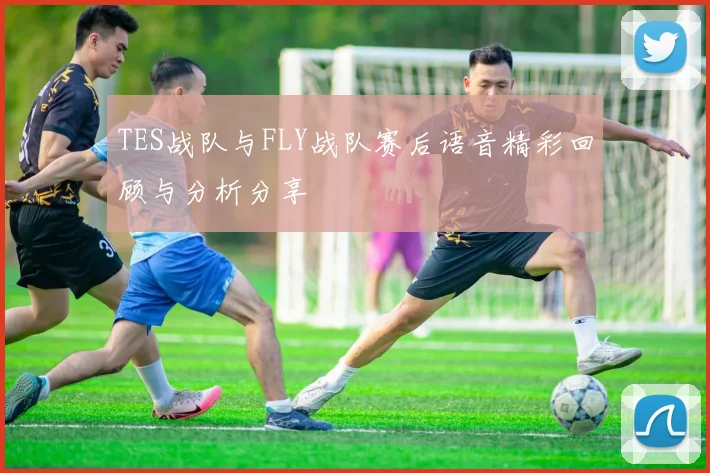 TES战队与FLY战队赛后语音精彩回顾与分析分享