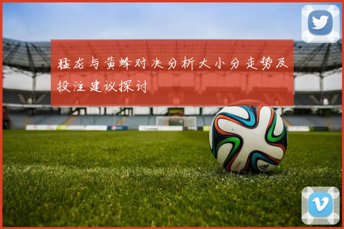 猛龙与黄蜂对决分析大小分走势及投注建议探讨