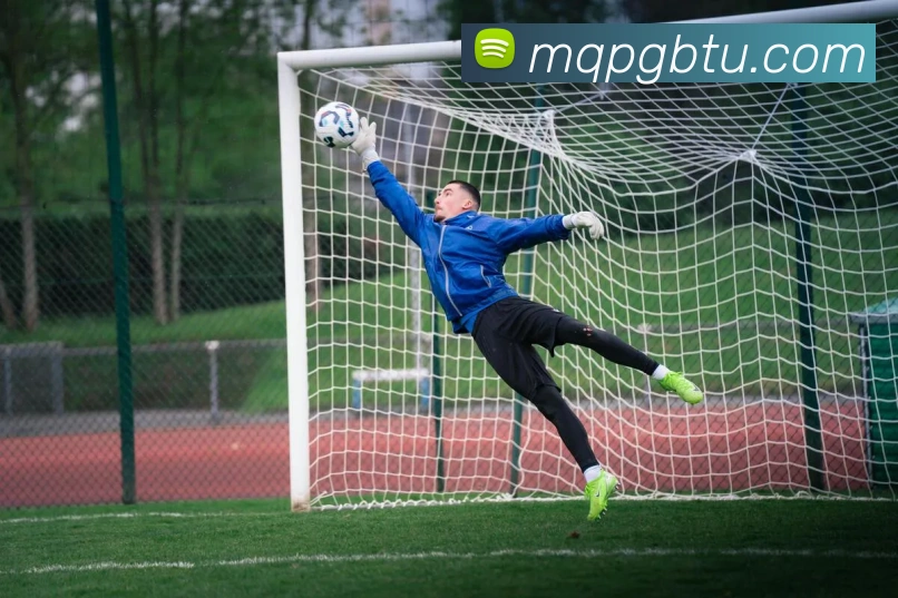 谈球吧APP 封面图